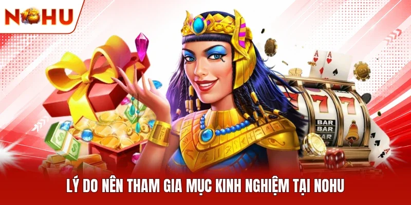 Lý do nên tham gia mục kinh nghiệm tại NOHU