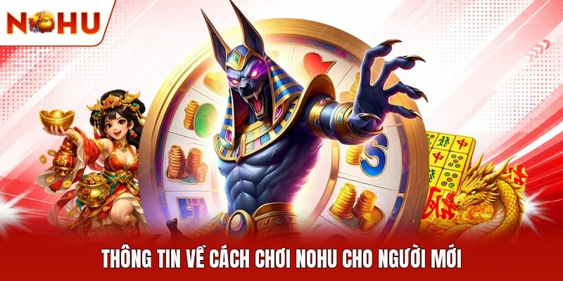 Thông tin về cách chơi NOHU cho người mới